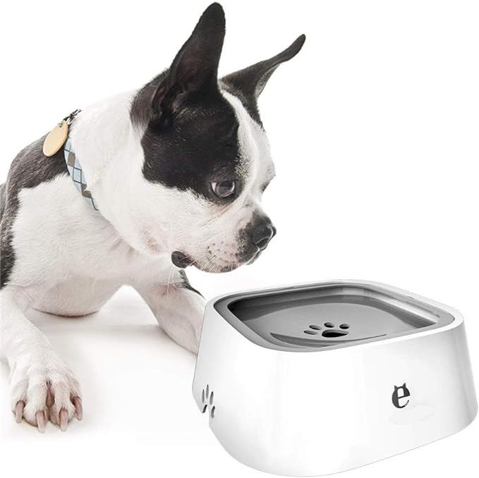 Zero Splash Dog Water Bowl