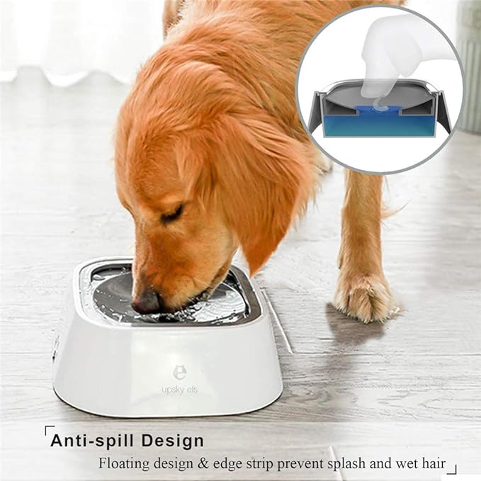 Zero Splash Dog Water Bowl