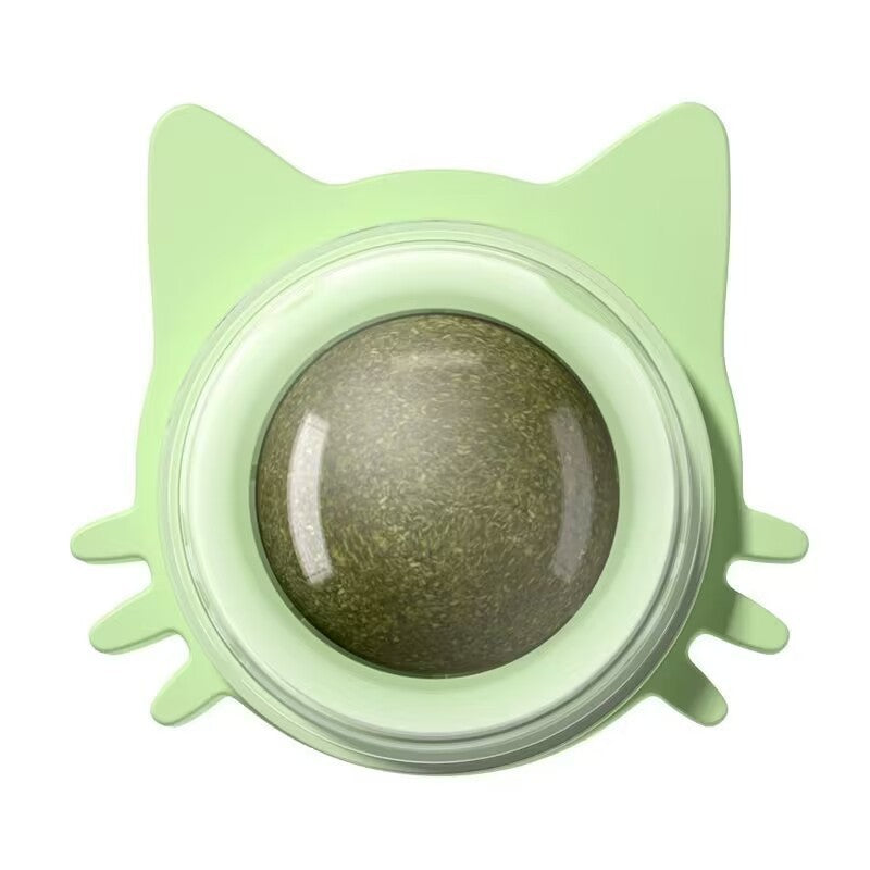 Catnip Ball Toy