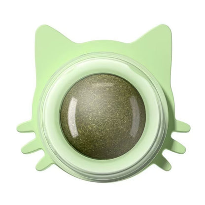 Catnip Ball Toy