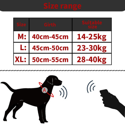 Pet AirTag Tracker